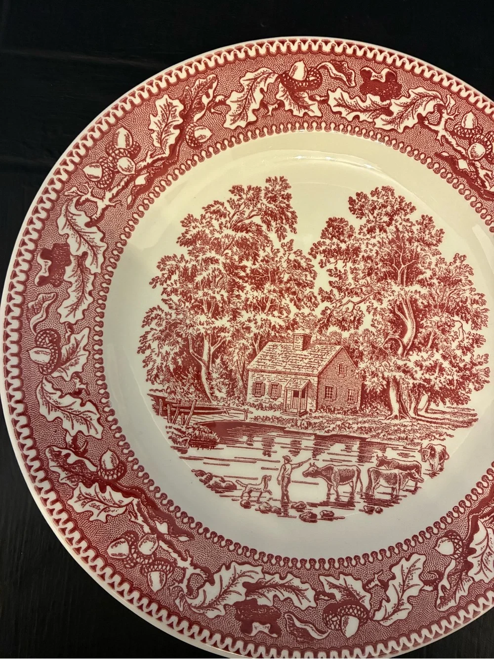 Vintage Memory Lane Red Transferware Plate English Cottage Grandmillennial USA